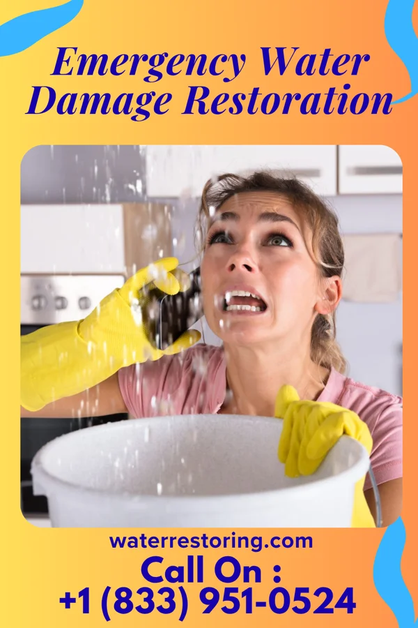 Emergency Water Damage Restoration in Walthourville, GA