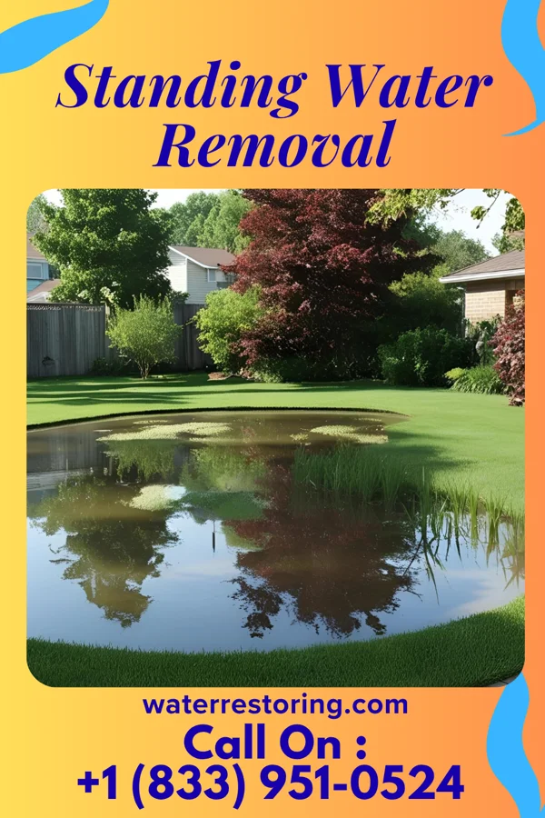 Standing Water Removal in Walthourville, GA